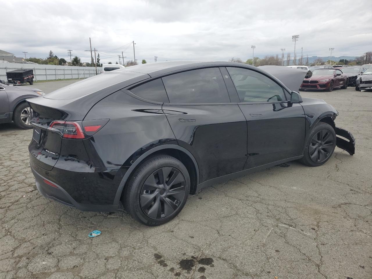 2025 TESLA MODEL Y - Image 3