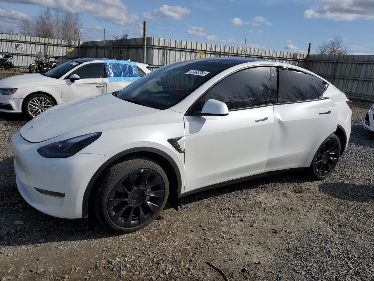 2023 TESLA MODEL Y