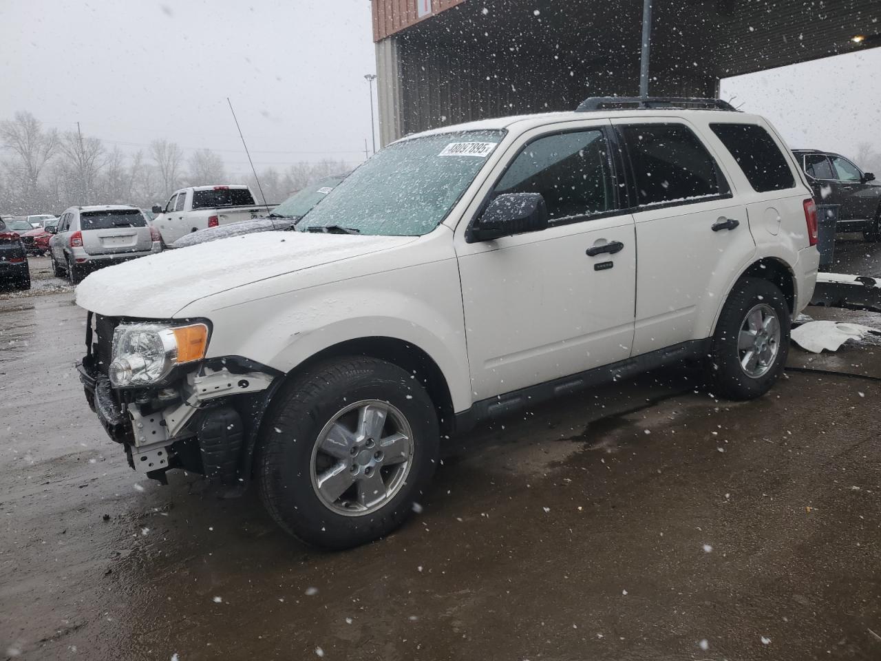 2010 FORD ESCAPE XLT