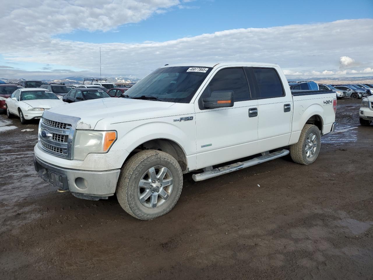 2014 FORD F150 SUPER