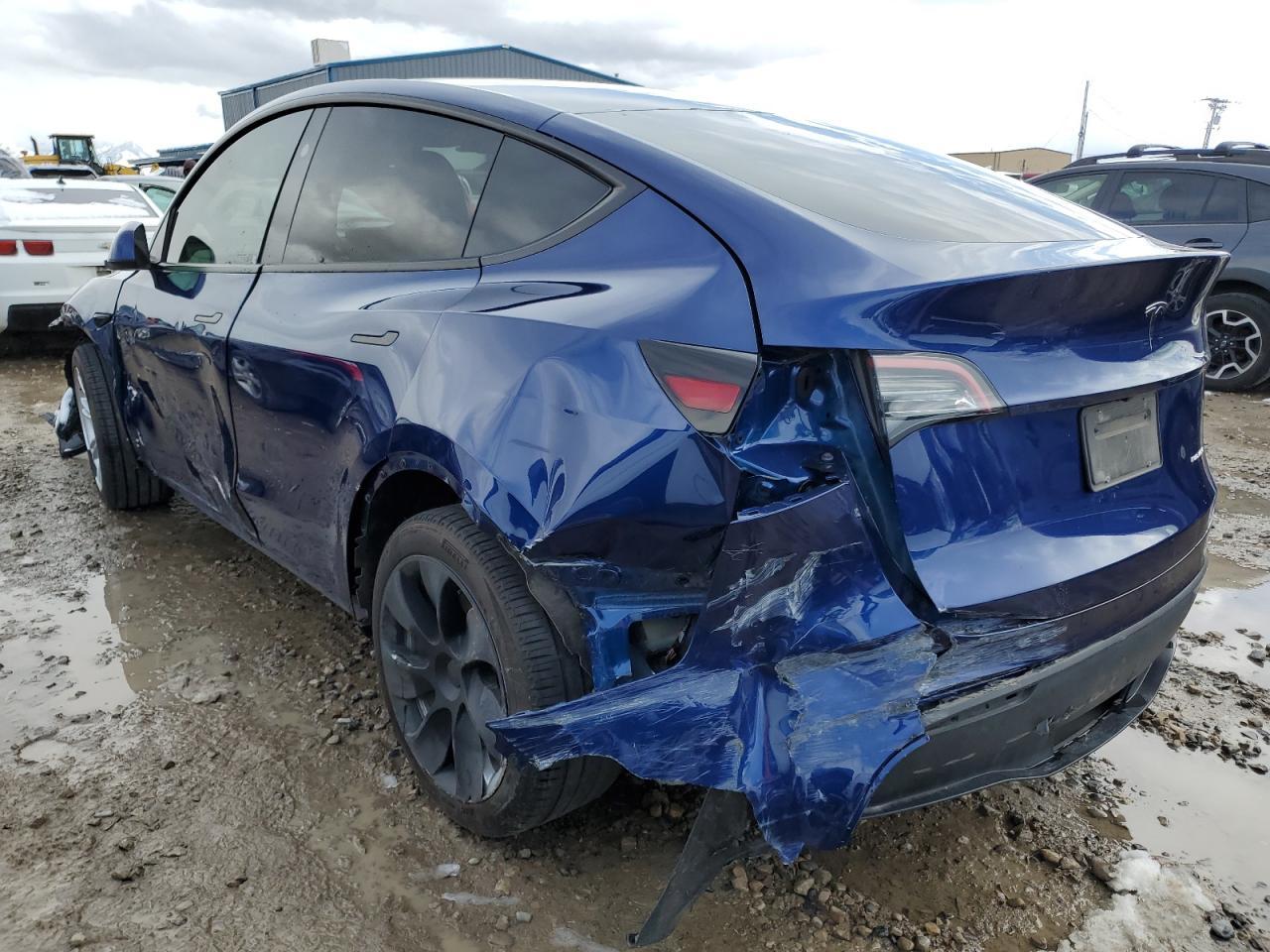 2023 TESLA MODEL Y - Фото 2
