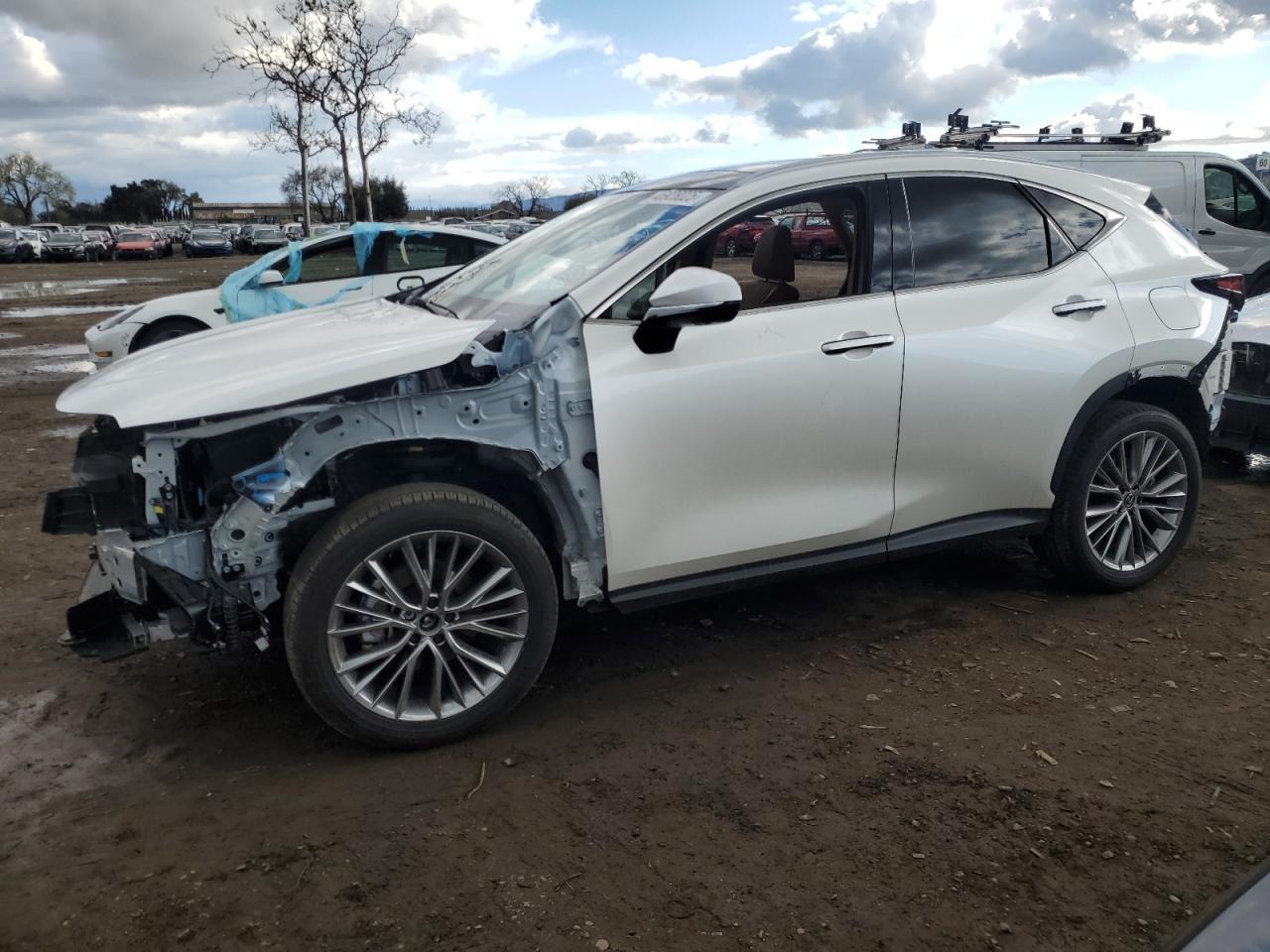 2024 LEXUS NX 350H BA