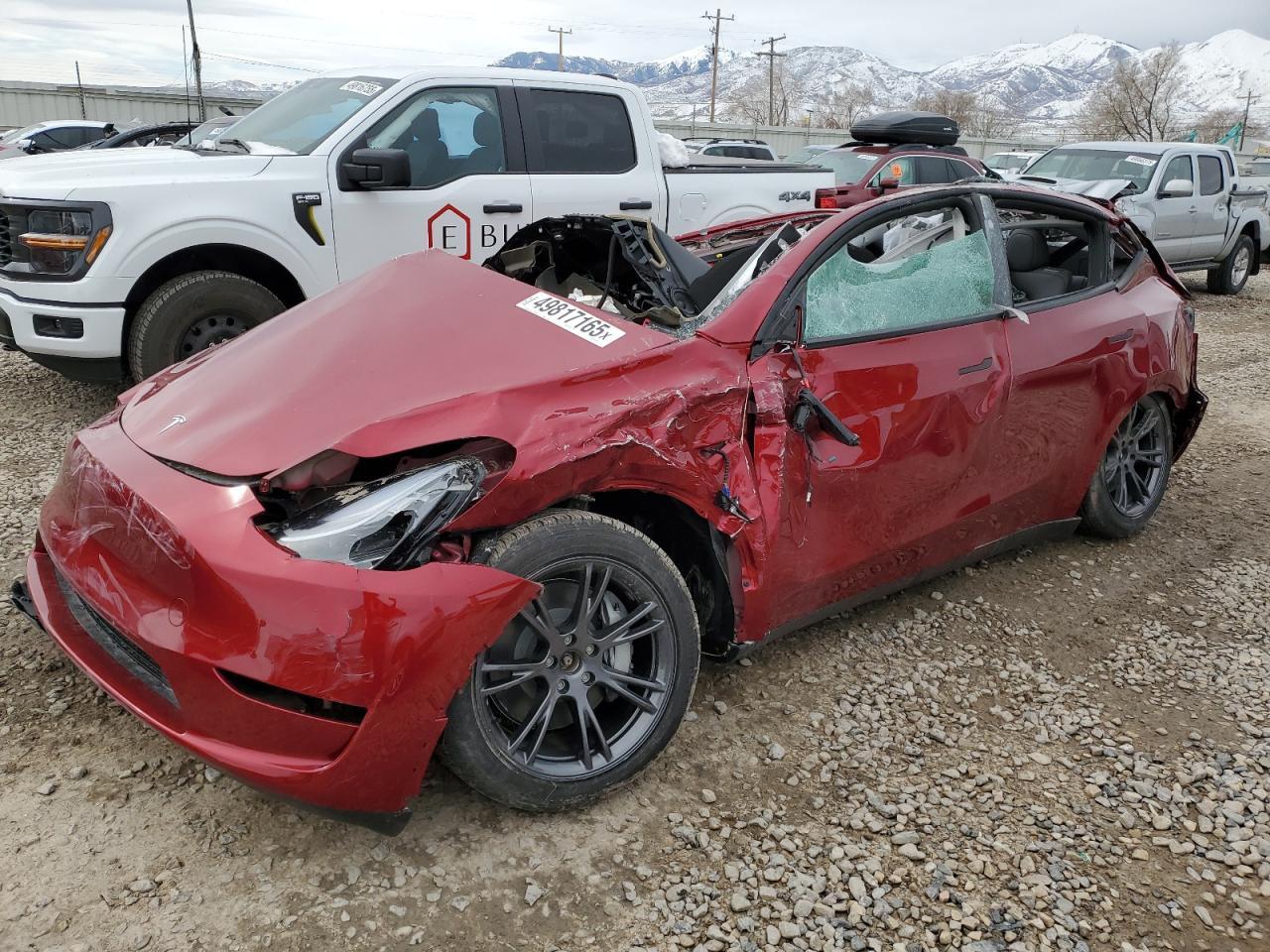 2025 TESLA MODEL Y