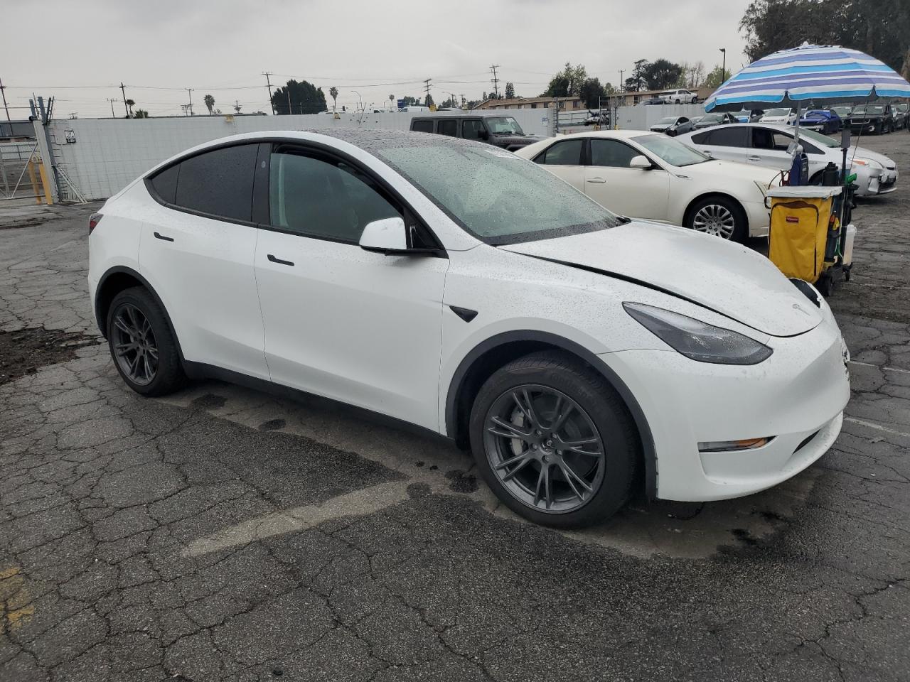 2024 TESLA MODEL Y - Image 4