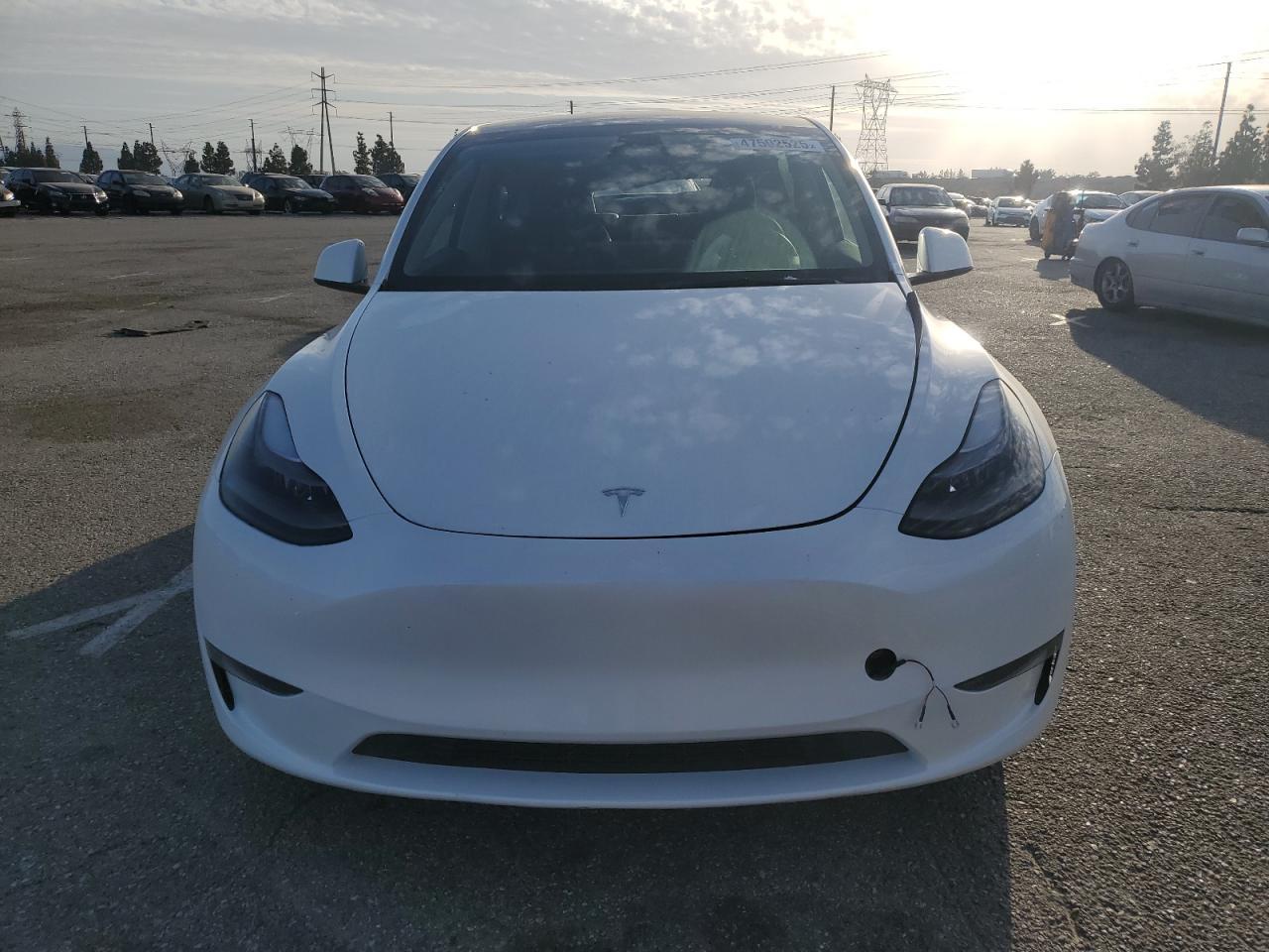 2024 TESLA MODEL Y - Image 5