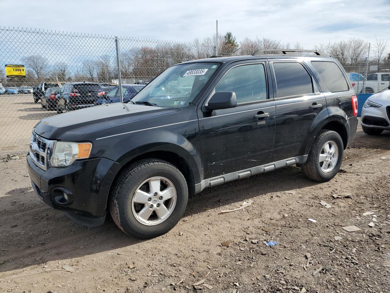 2010 FORD ESCAPE XLT
