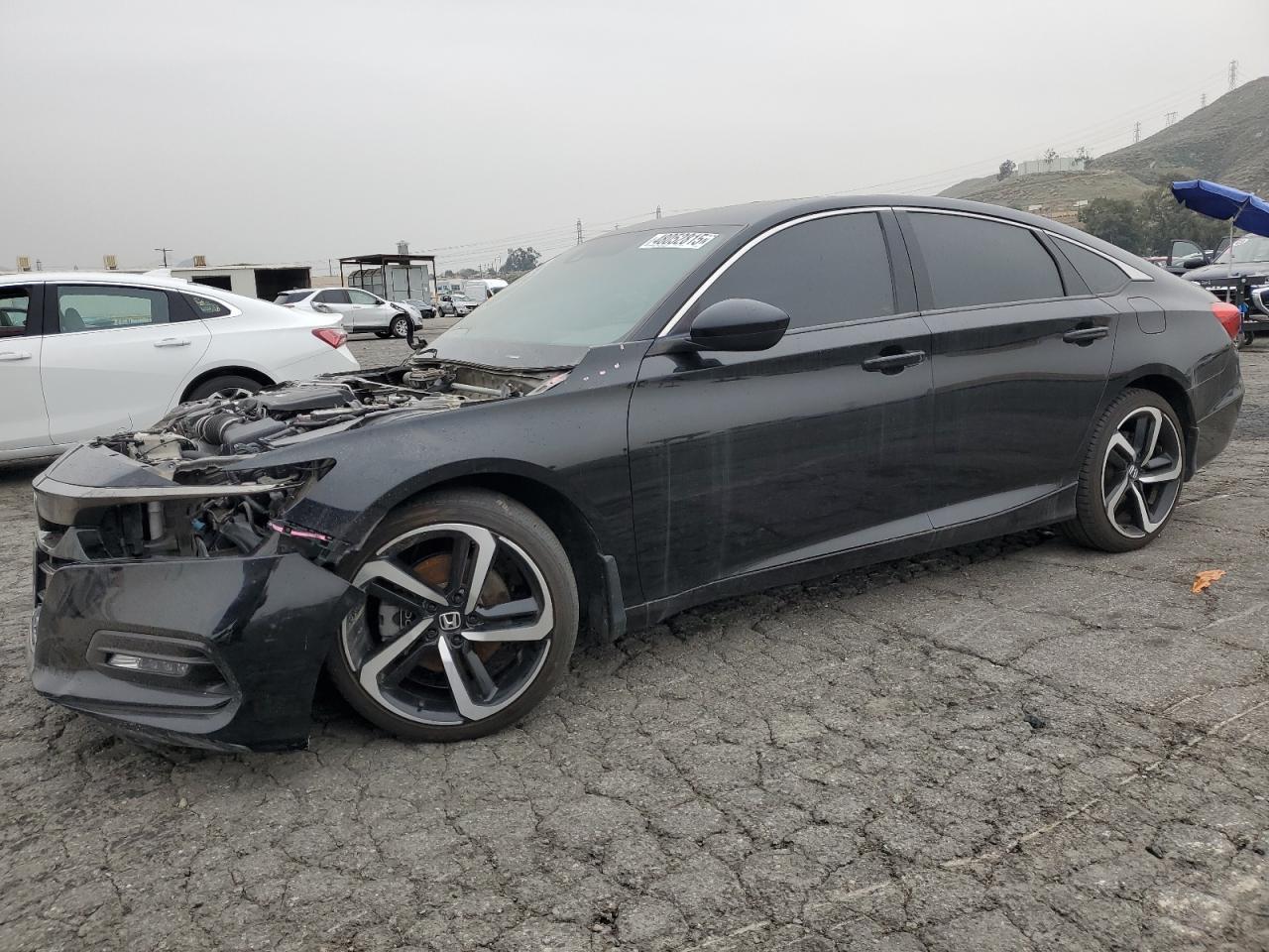 2019 HONDA ACCORD SPO