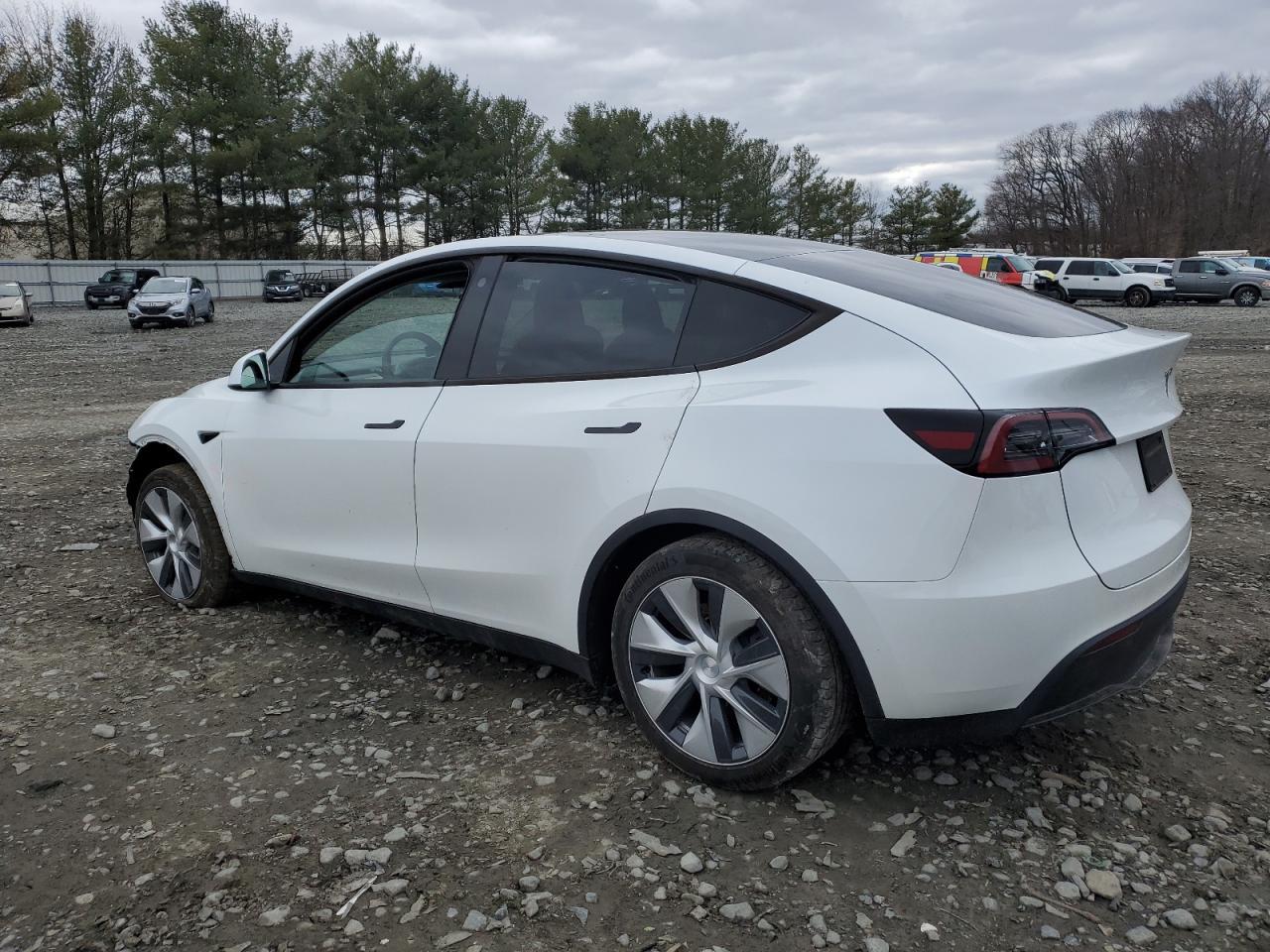 2023 TESLA MODEL Y - Image 2