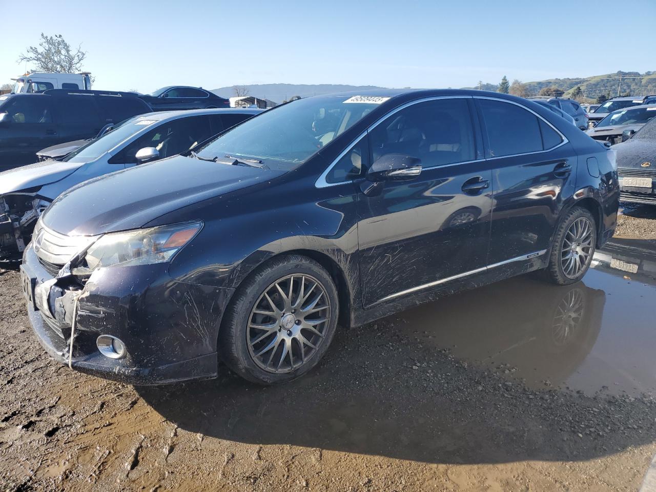 2010 LEXUS HS 250H
