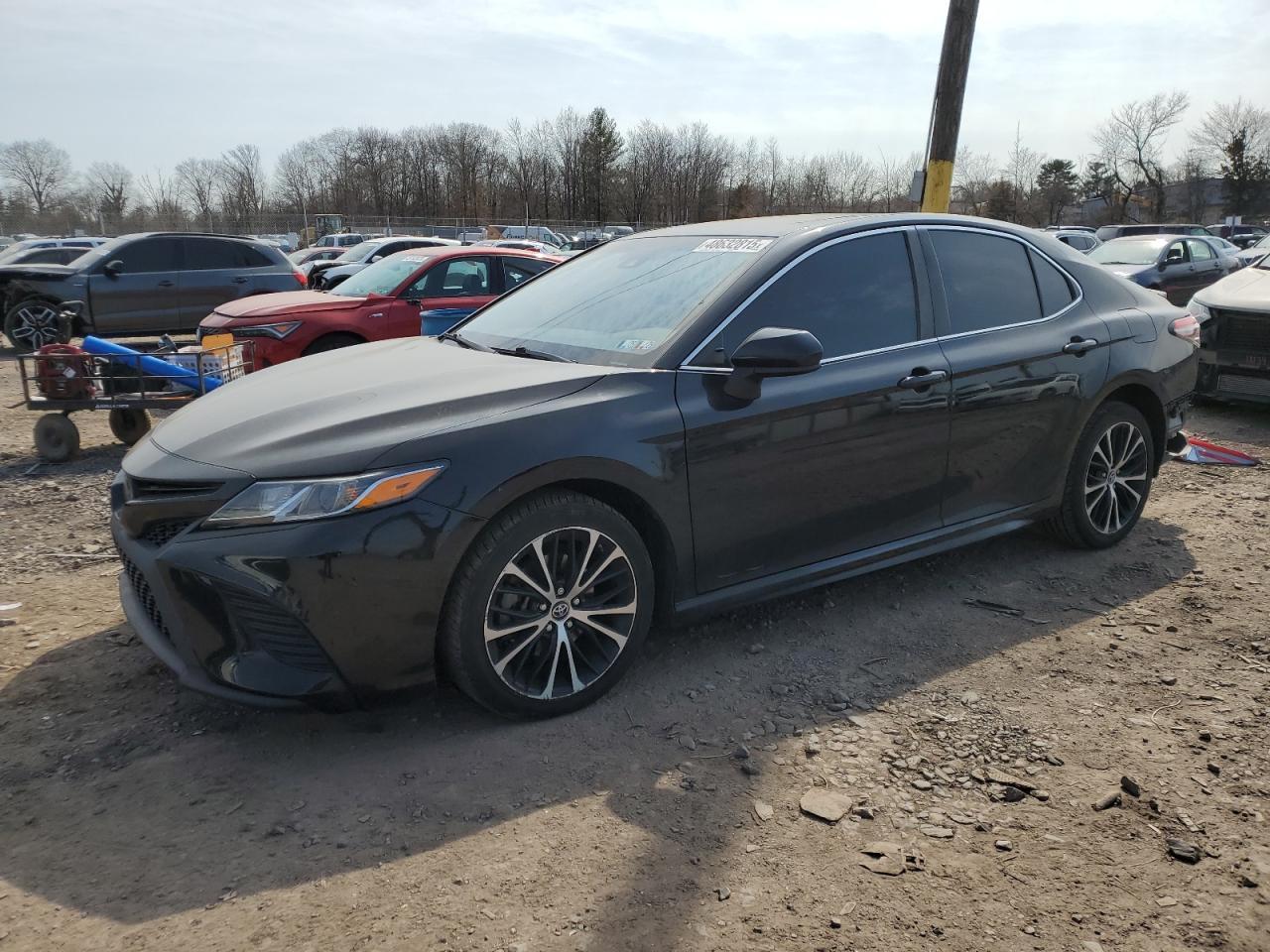 2019 TOYOTA CAMRY L