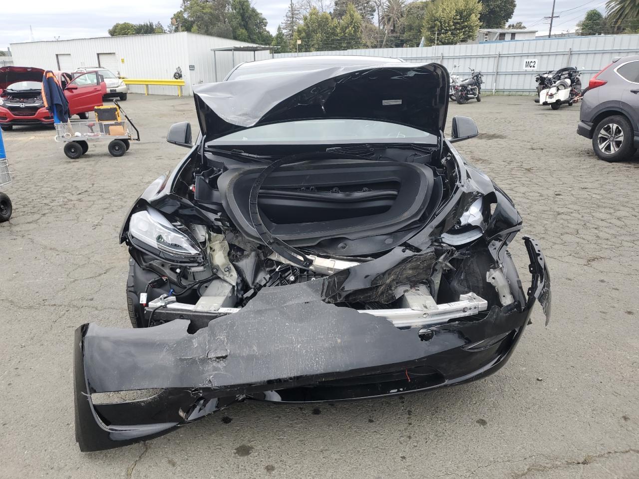 2025 TESLA MODEL Y - Image 5