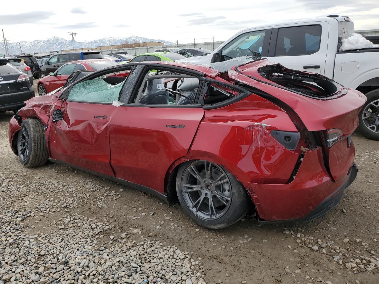 2025 TESLA MODEL Y - Image 2