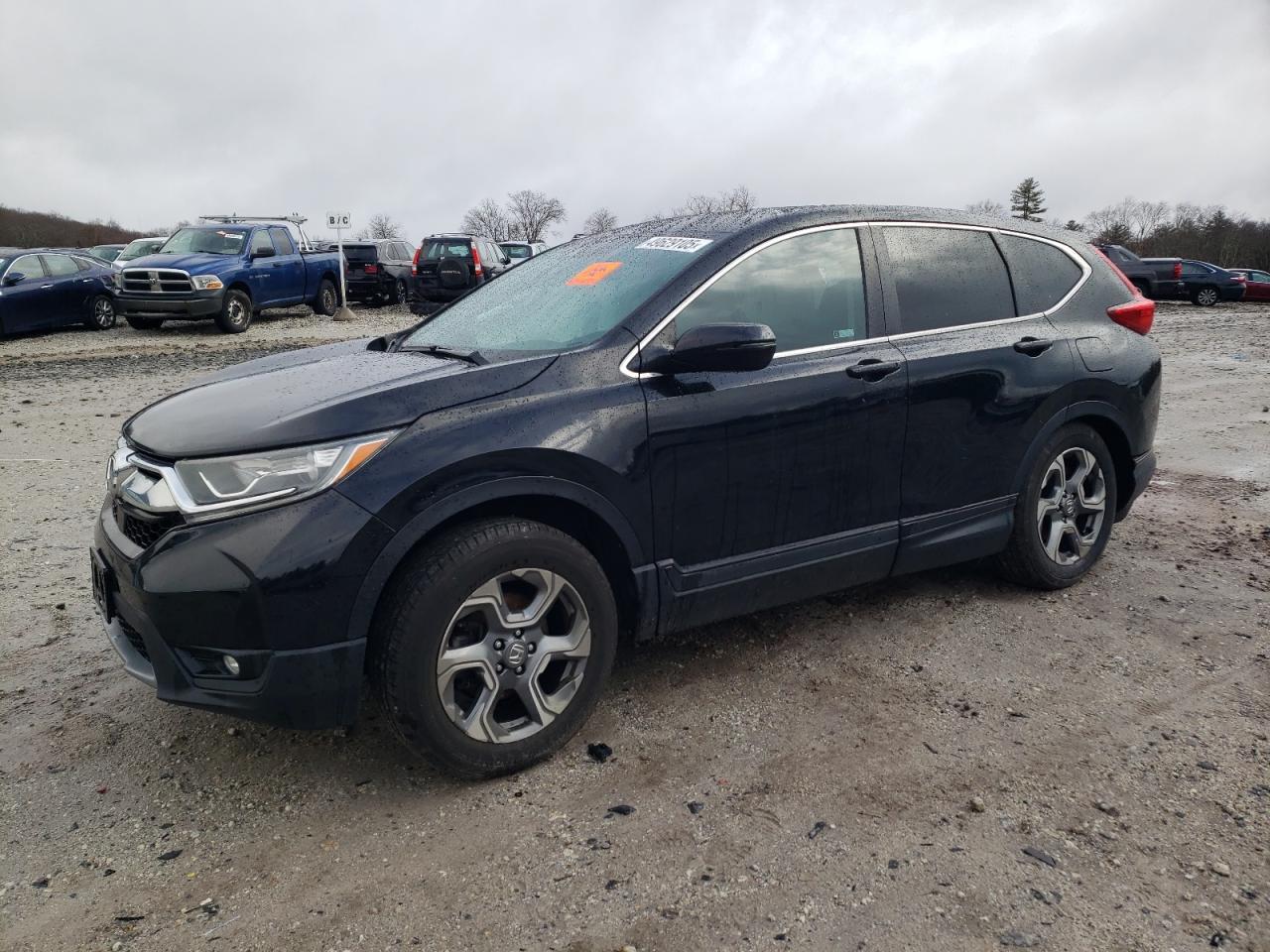 2019 HONDA CR-V EX