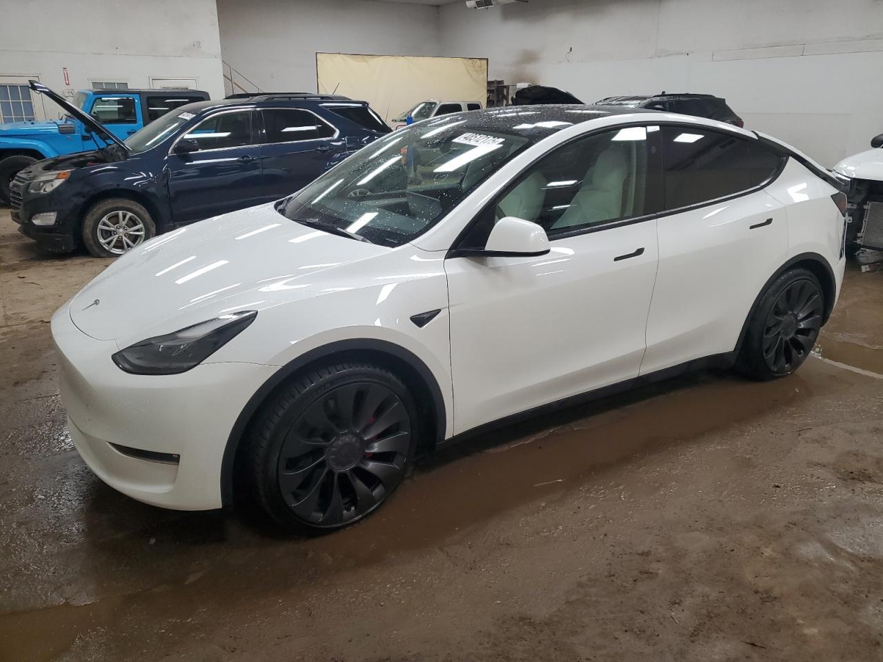 2023 TESLA MODEL Y