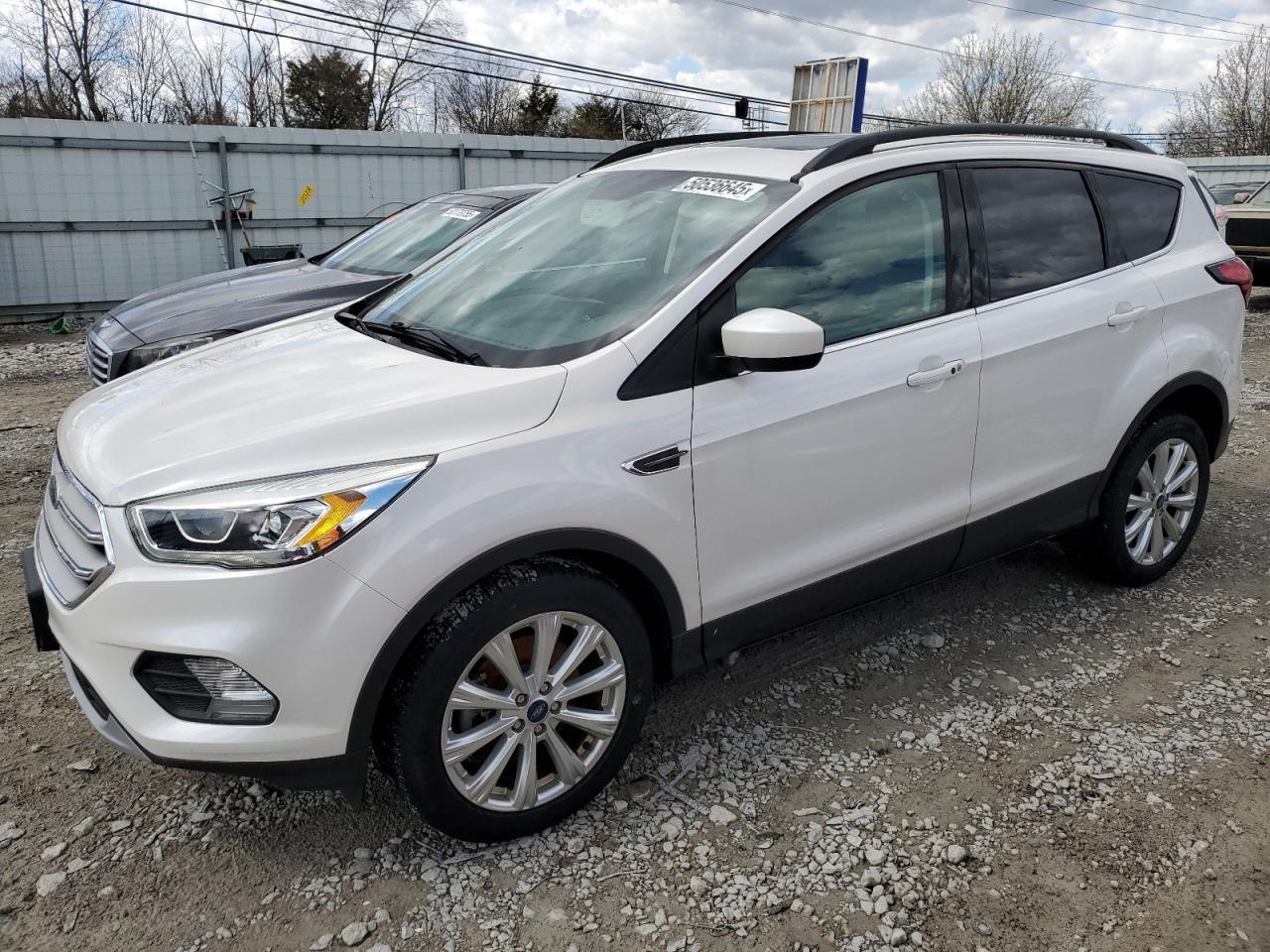 2019 FORD ESCAPE SEL