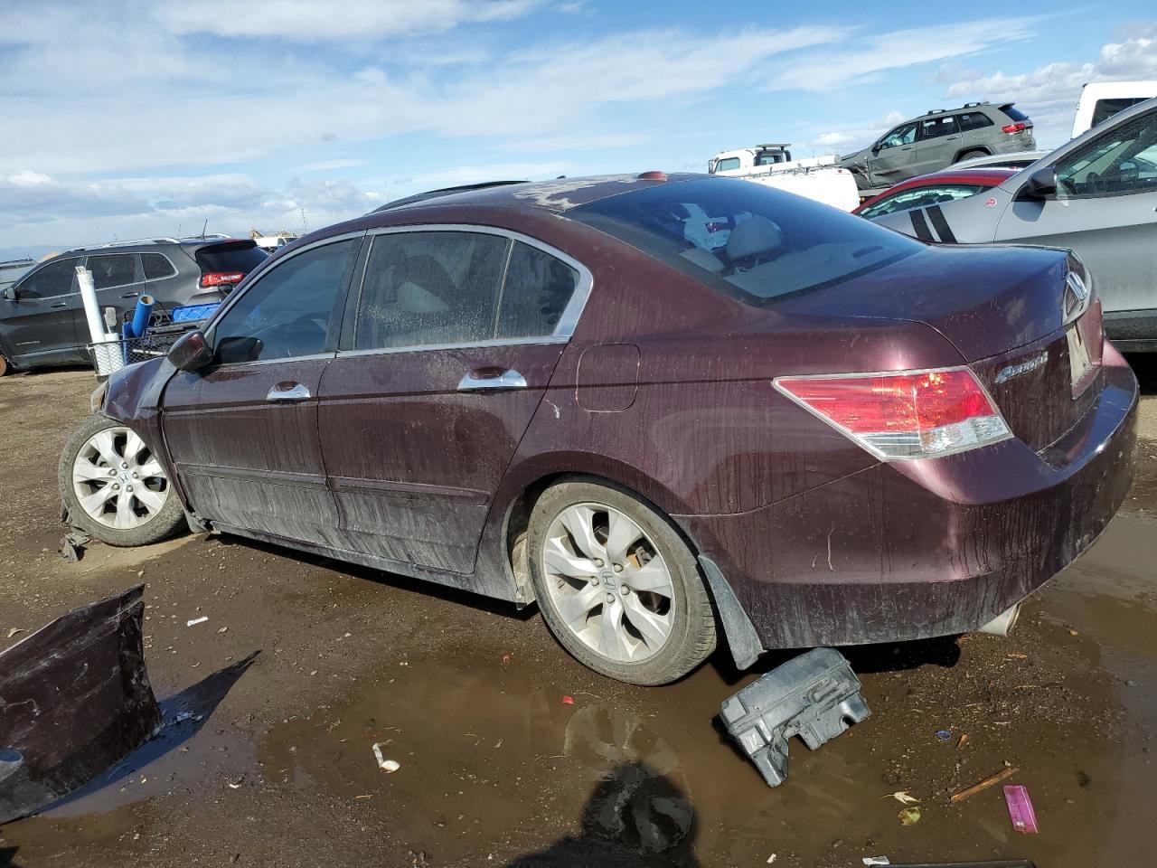 2010 HONDA ACCORD EXL - Image 2