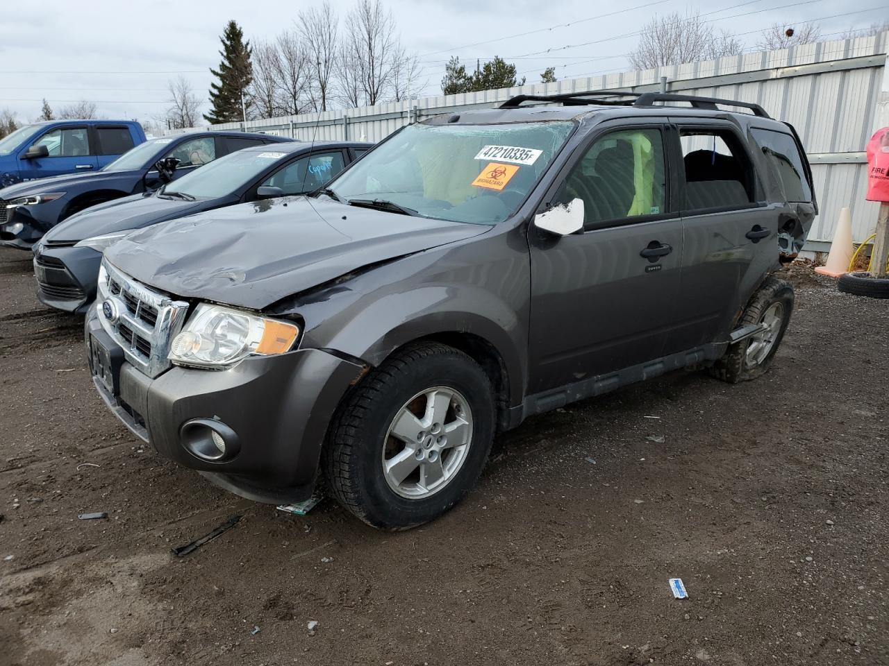 2010 FORD ESCAPE XLT