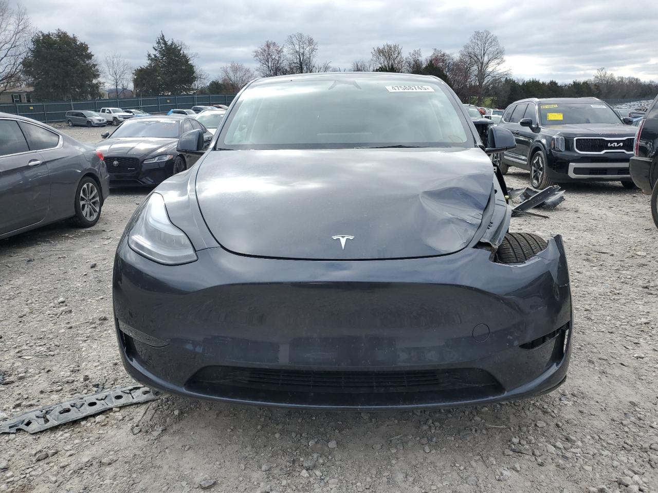 2025 TESLA MODEL Y - Image 5