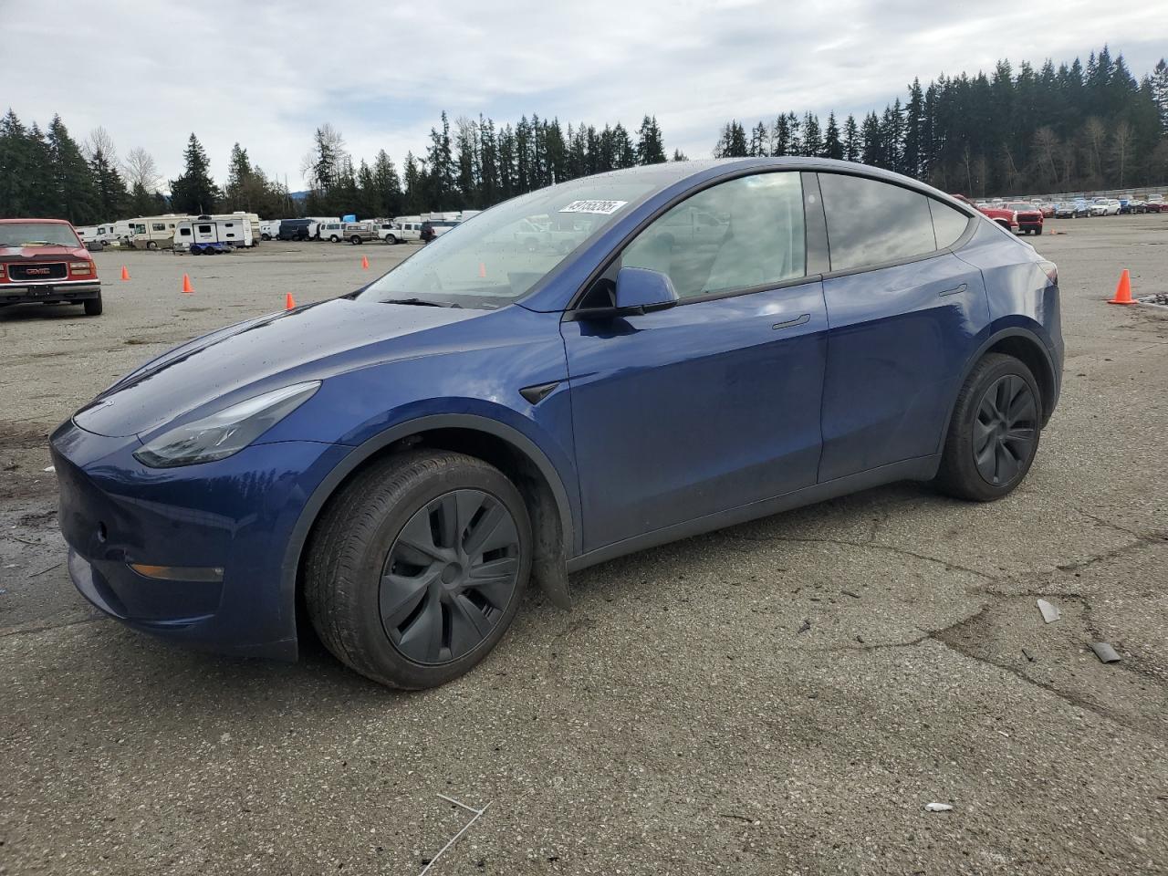 2024 TESLA MODEL Y