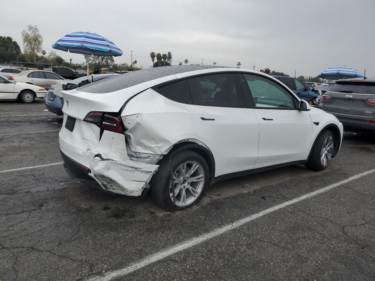 2023 TESLA MODEL Y - Фото 3