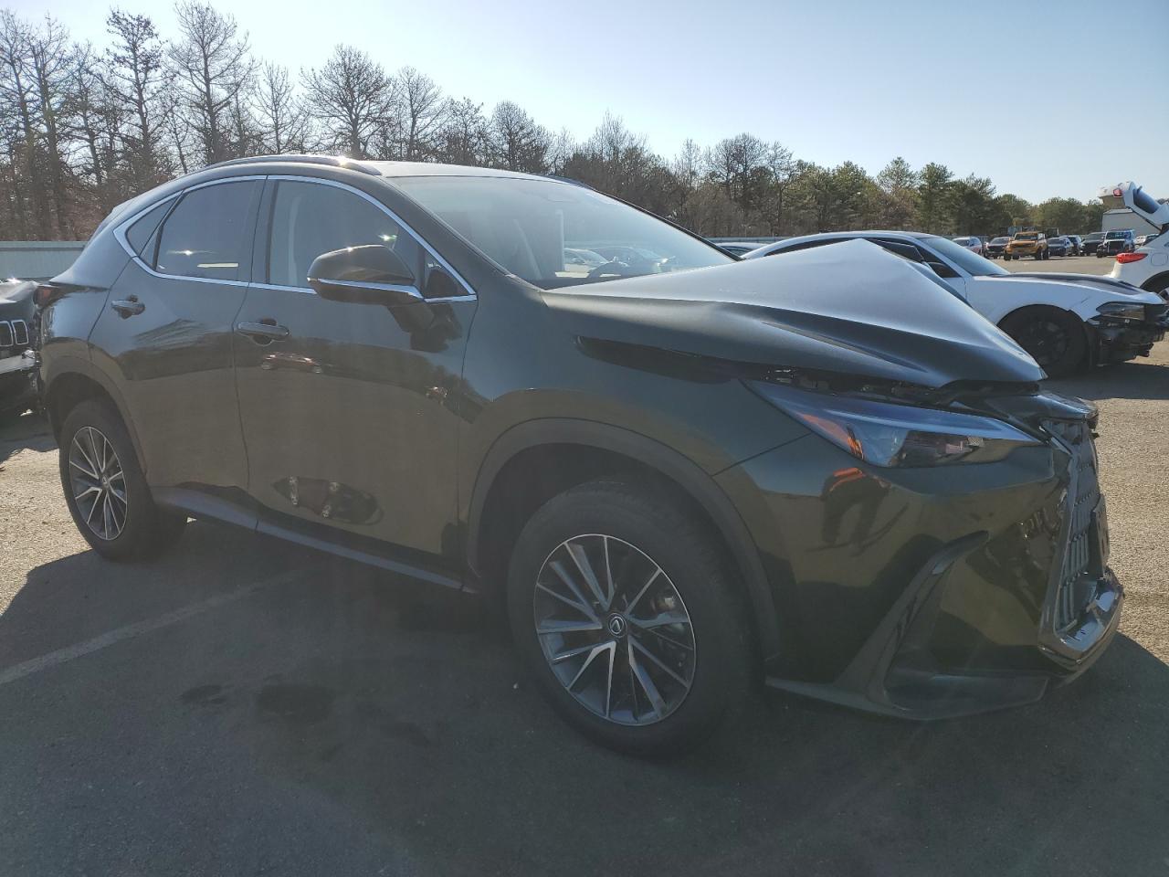 2024 LEXUS NX 350H BA - Image 4