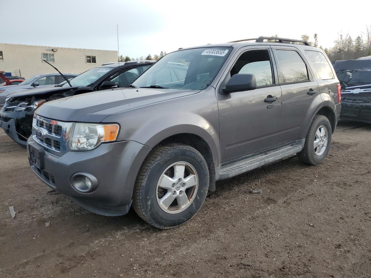 2010 FORD ESCAPE XLT