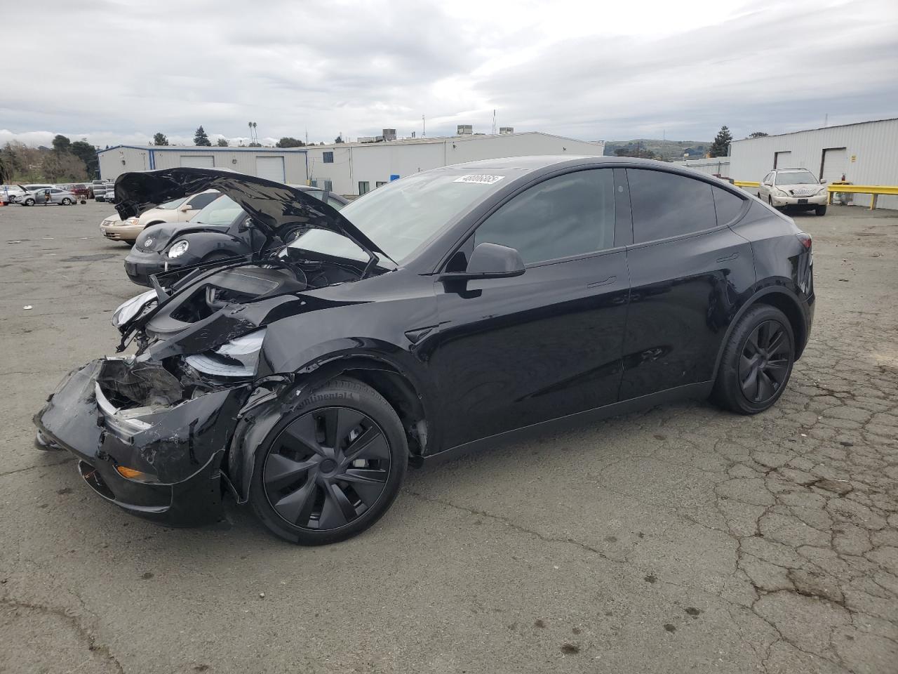 2025 TESLA MODEL Y