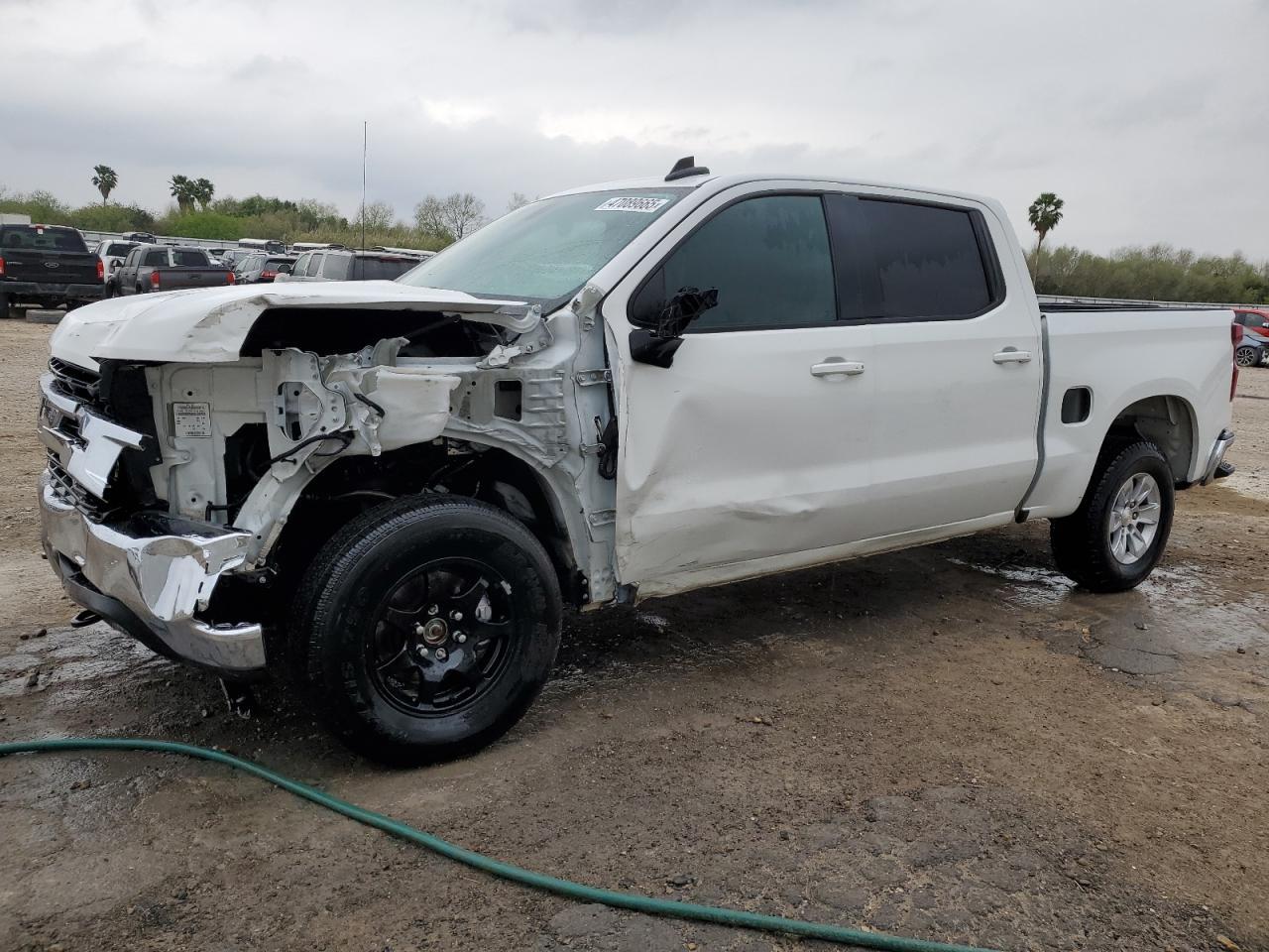 2019 CHEVROLET SILVERADO