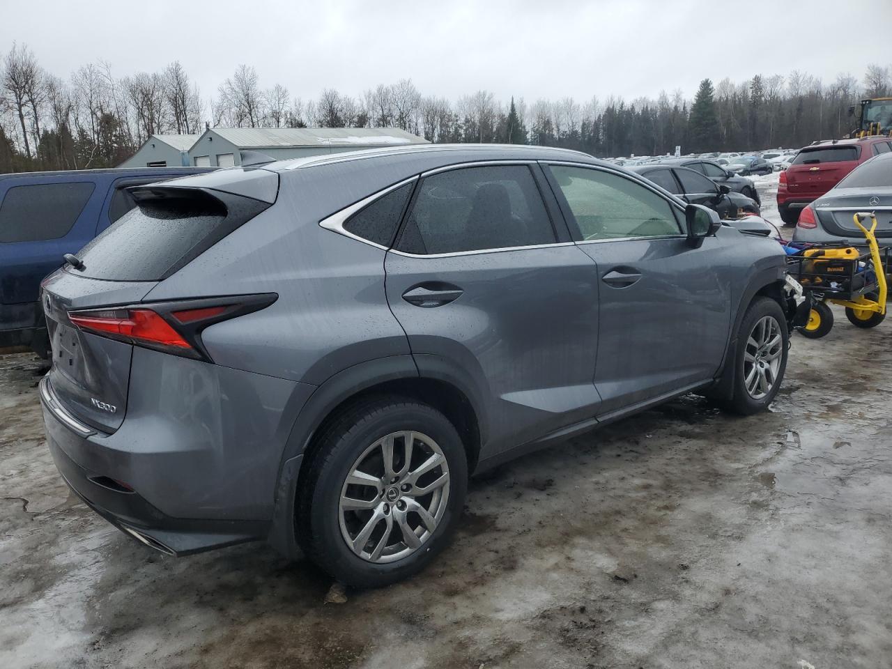 2020 LEXUS NX 300 - Фото 3