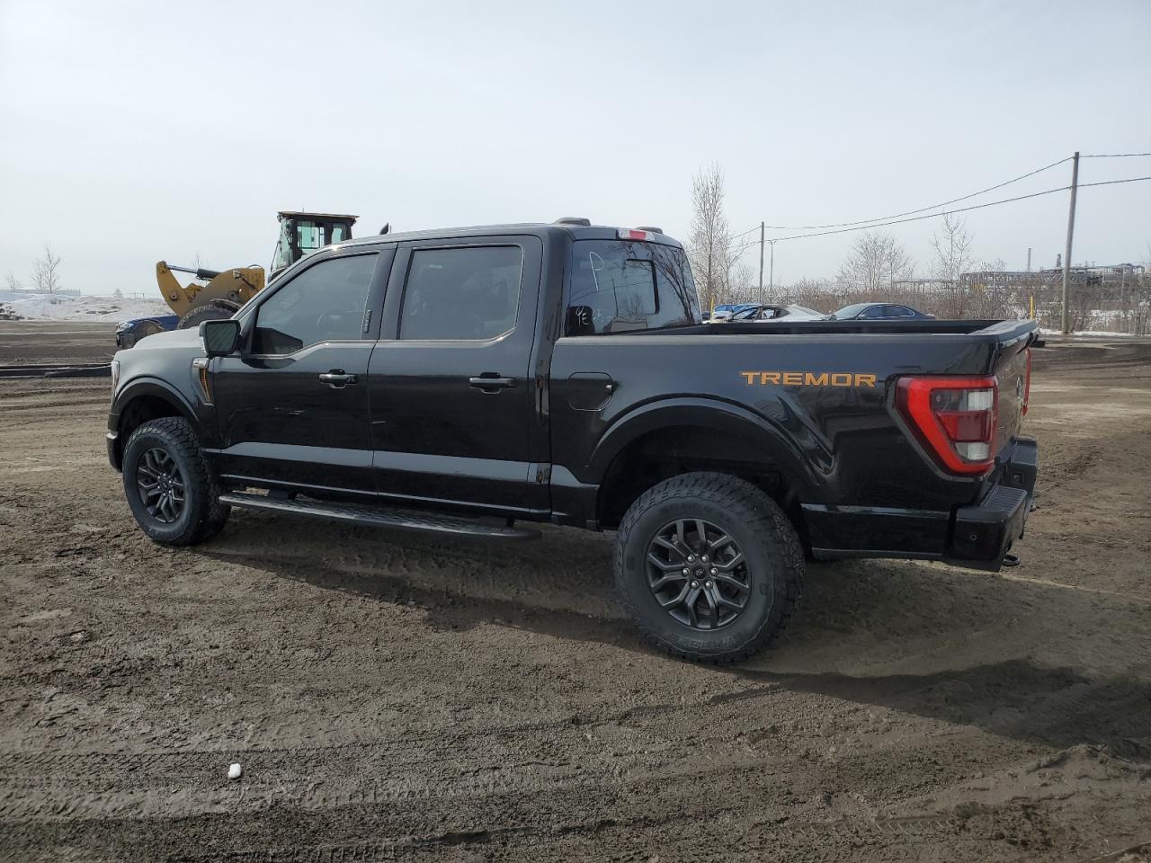 2023 FORD F150 SUPER - Фото 2
