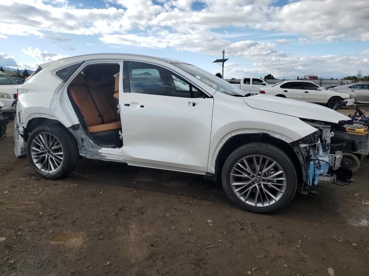2024 LEXUS NX 350H BA - Image 4