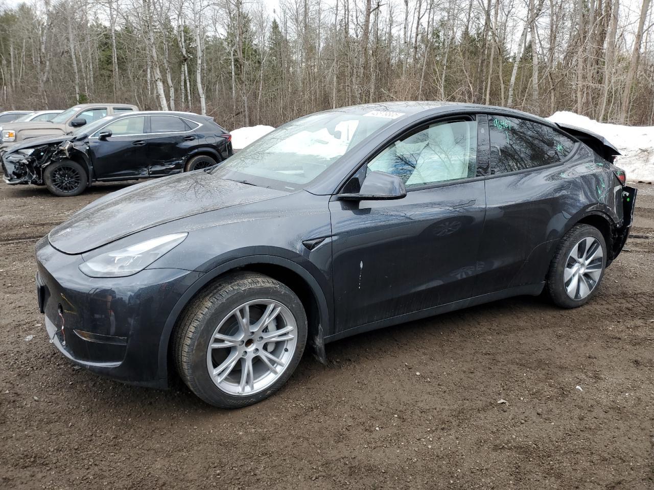 2024 TESLA MODEL Y