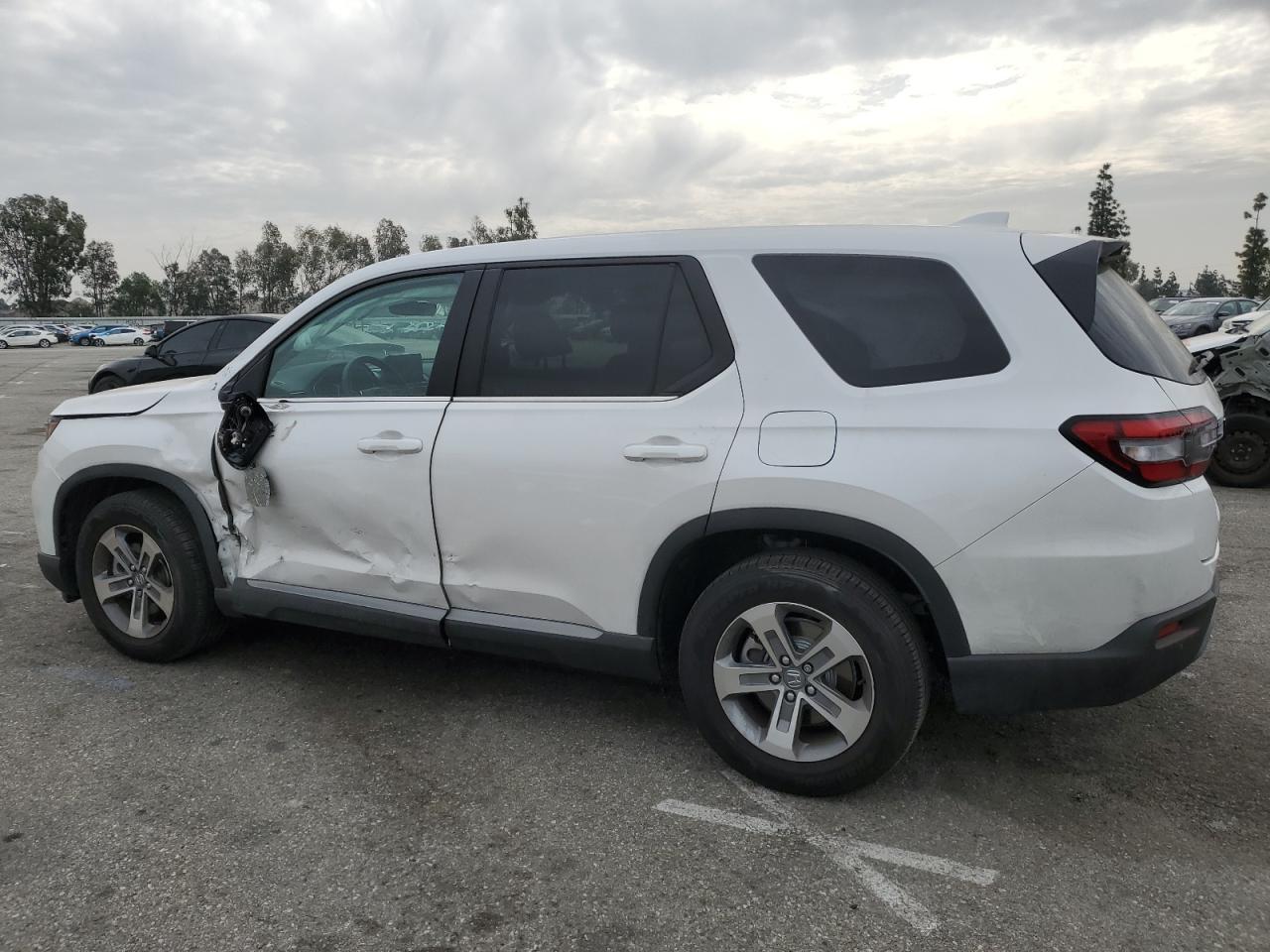 2024 HONDA PILOT EXL - Image 2