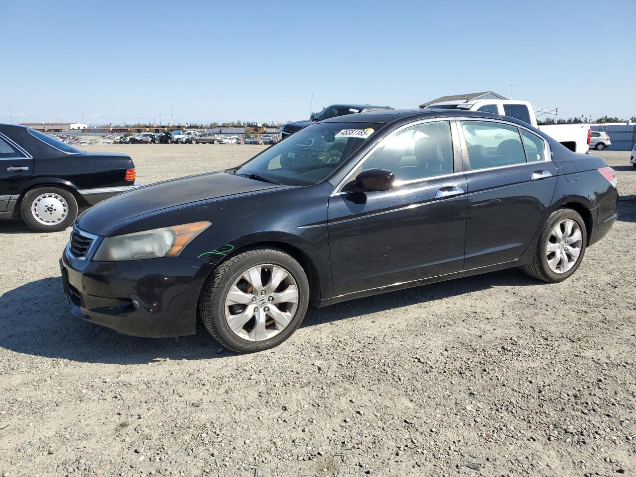 2010 HONDA ACCORD EXL