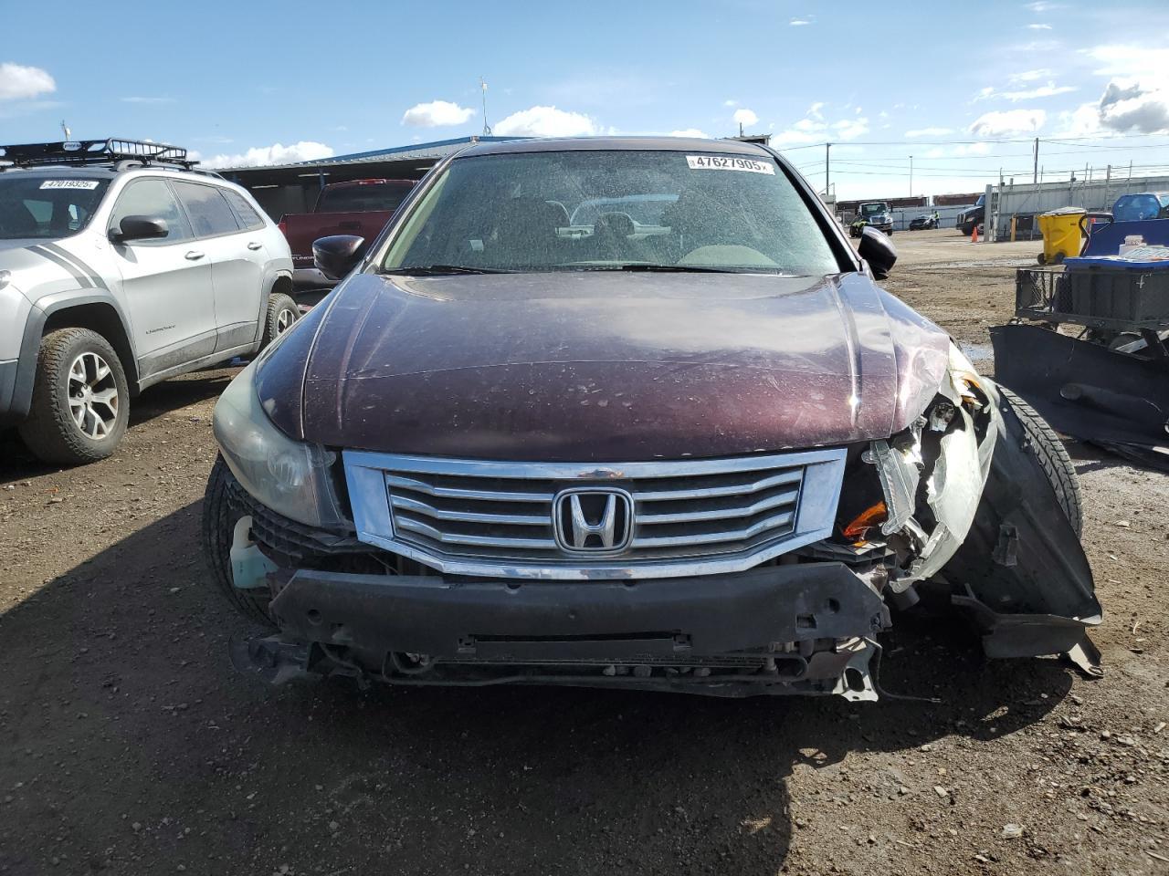 2010 HONDA ACCORD EXL - Image 5