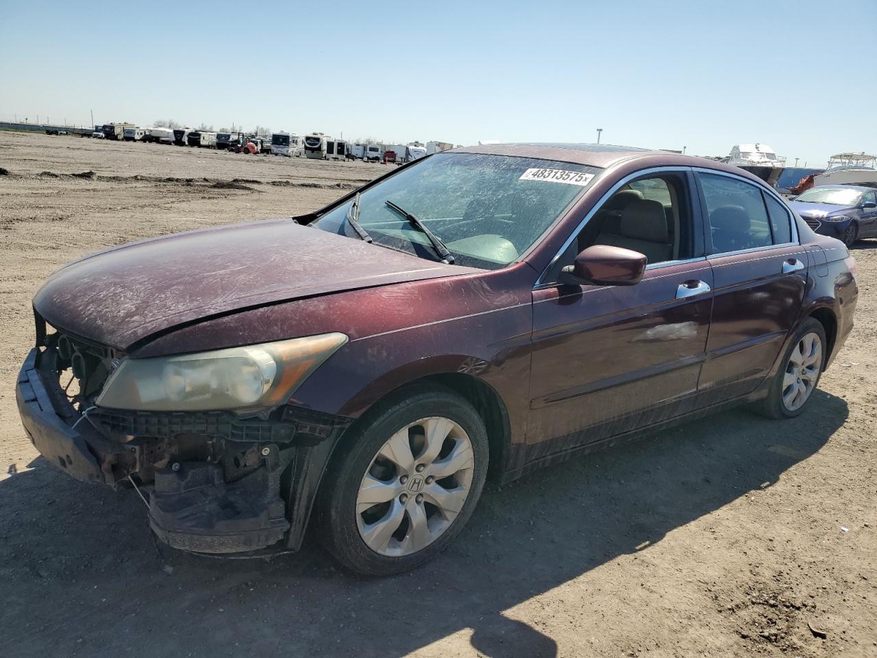 2010 HONDA ACCORD EXL