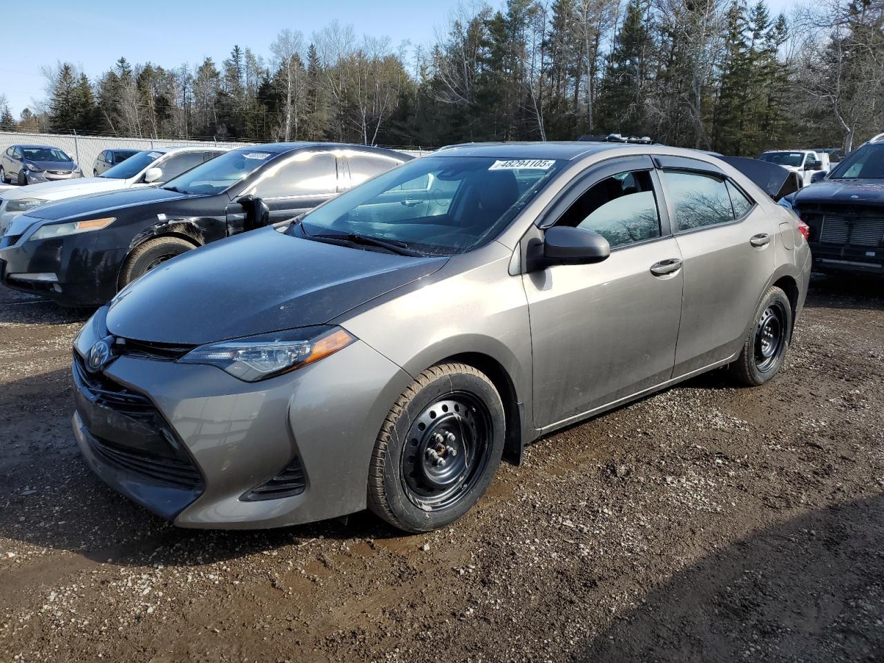 2019 TOYOTA COROLLA L