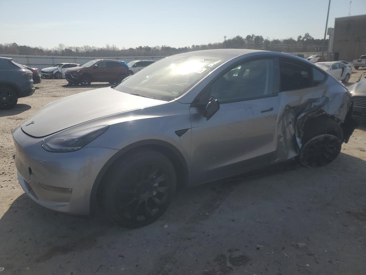 2025 TESLA MODEL Y
