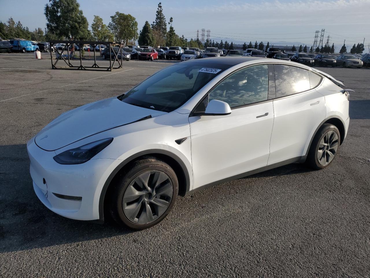 2024 TESLA MODEL Y