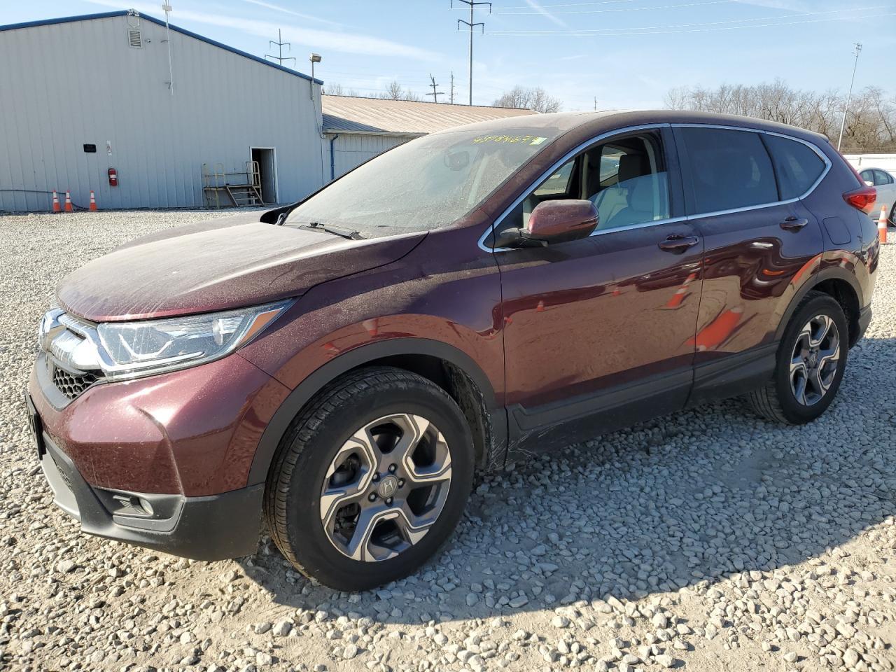 2019 HONDA CR-V EXL