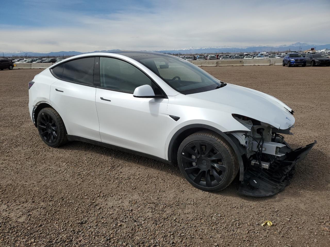2023 TESLA MODEL Y - Image 4
