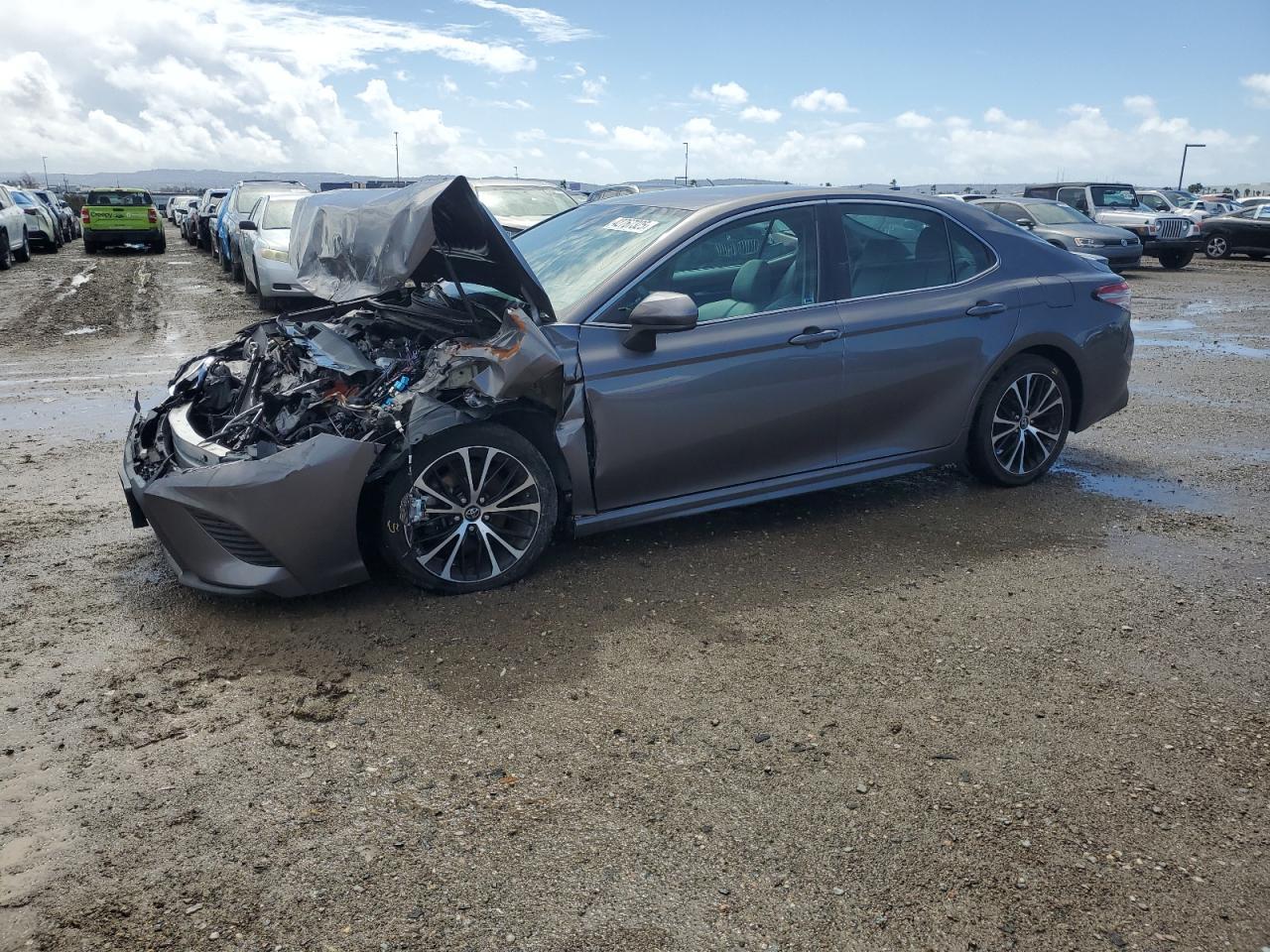 2019 TOYOTA CAMRY L