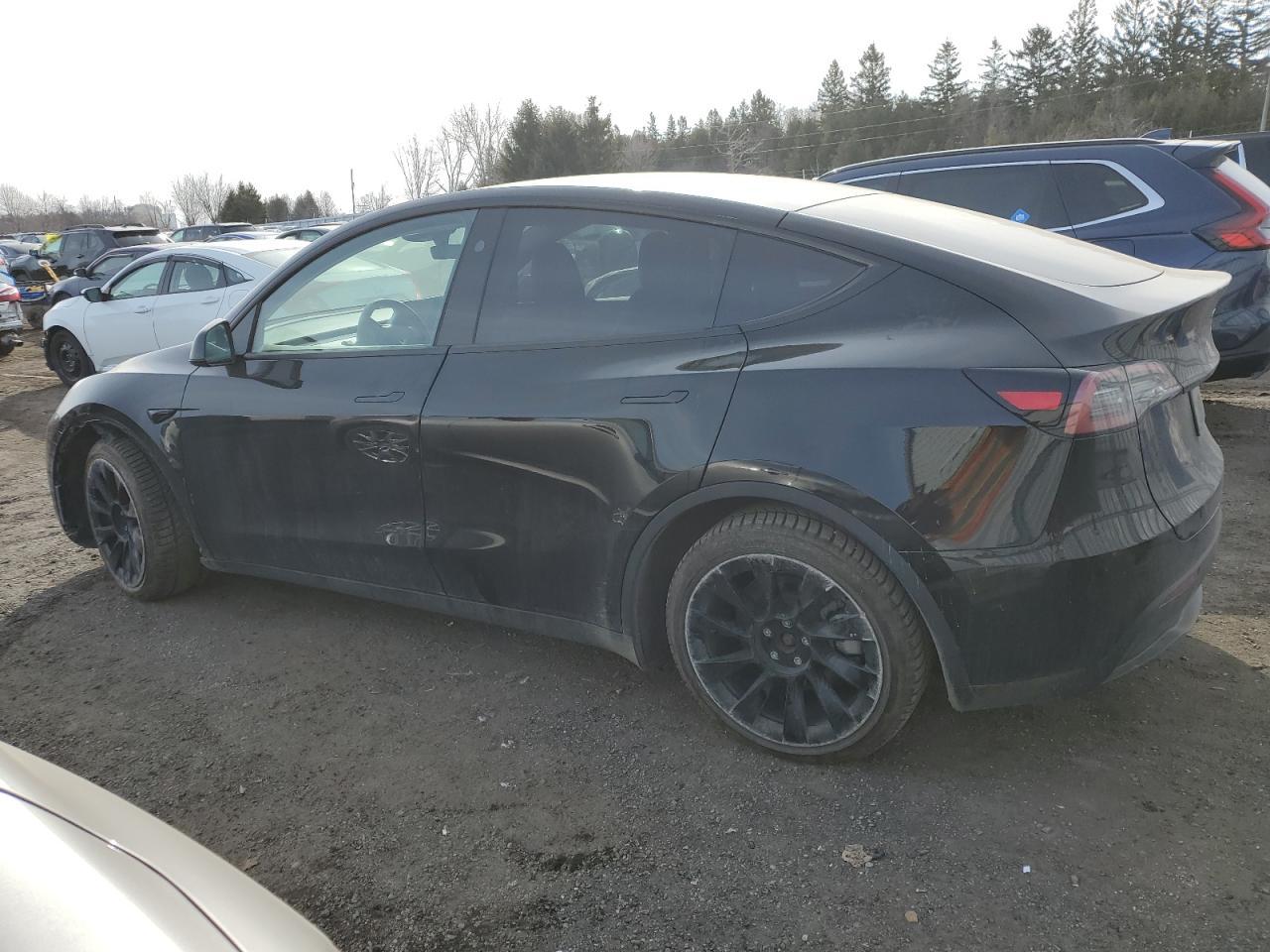 2024 TESLA MODEL Y - Image 2