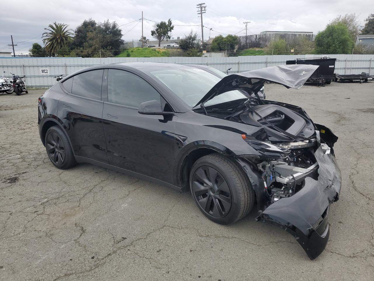 2025 TESLA MODEL Y - Image 4