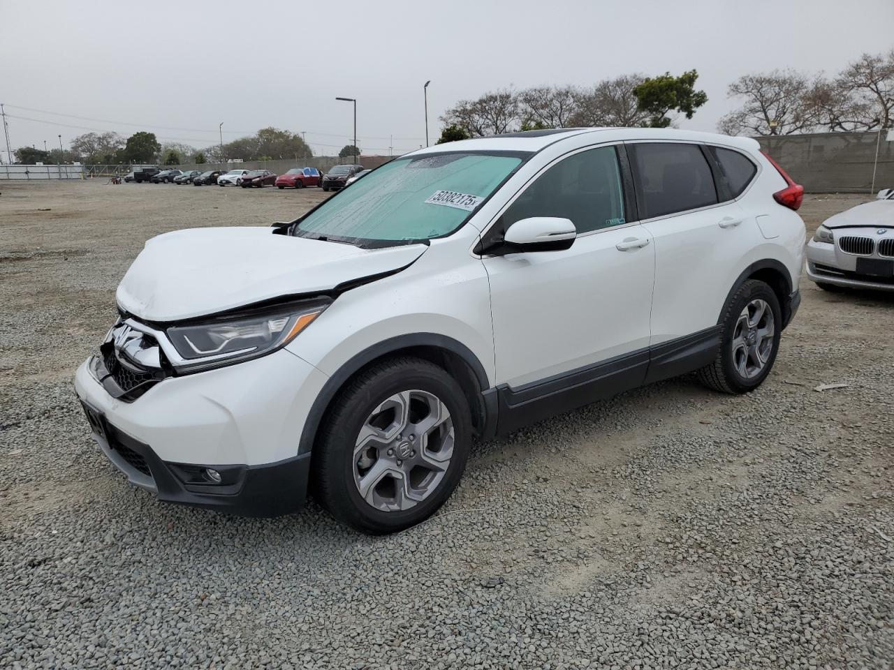 2019 HONDA CR-V EX