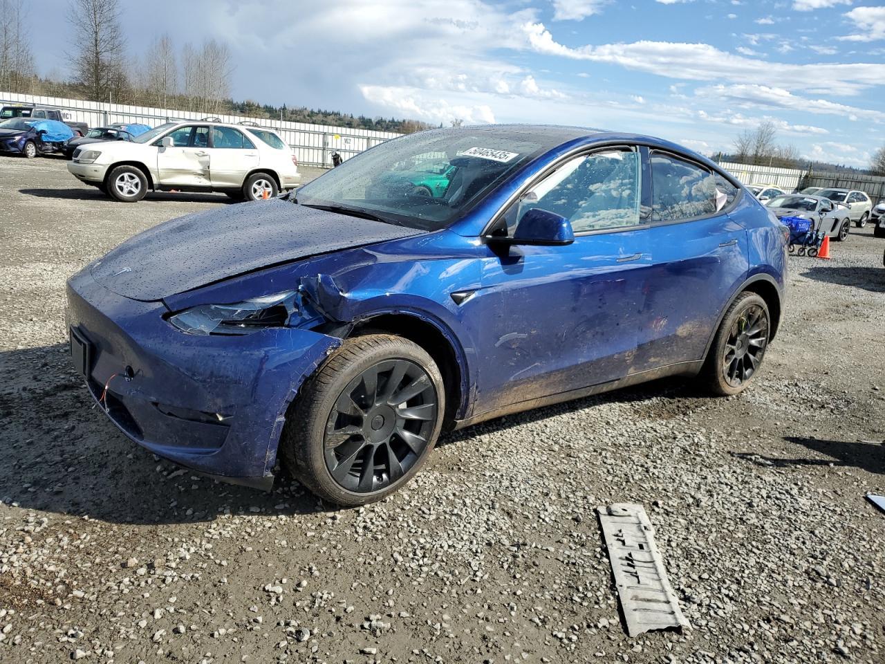 2025 TESLA MODEL Y