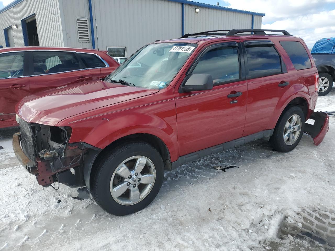 2010 FORD ESCAPE XLT