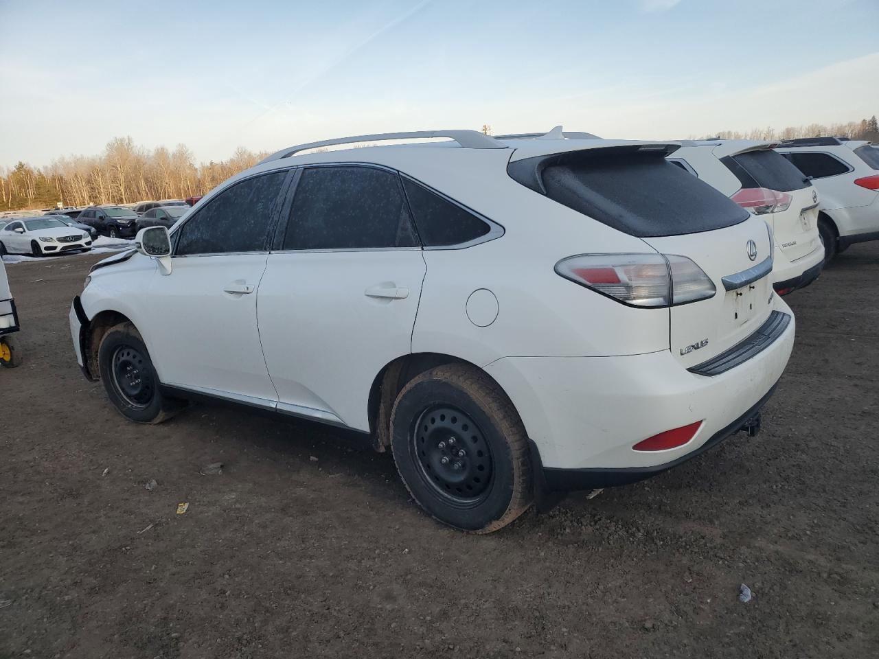 2010 LEXUS RX 350 - Фото 2