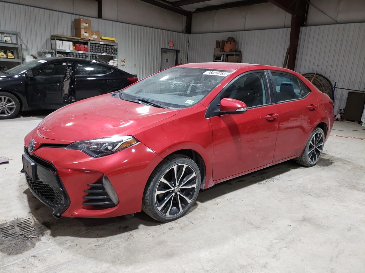 2019 TOYOTA COROLLA L