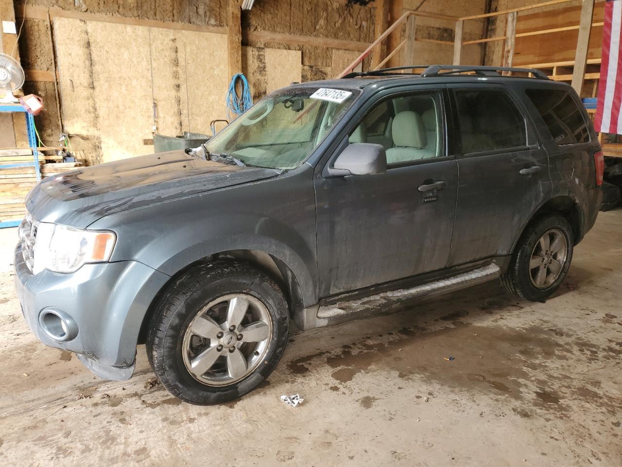 2010 FORD ESCAPE XLT